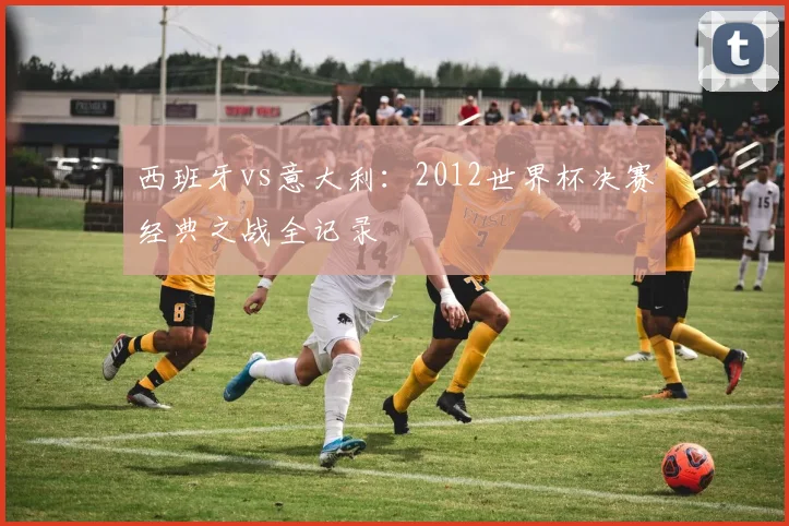 西班牙vs意大利：2012世界杯决赛经典之战全记录